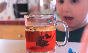 11 Science Toys for Toddlers: Create, Explore & Learn More
