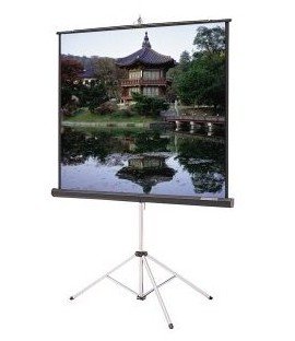 Da-lite 96x96 Tripod Projector Screen - projector screens
