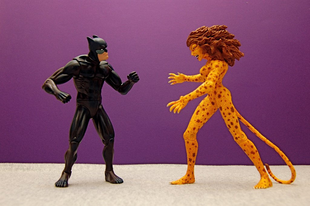 Wildcat vs. Cheetah