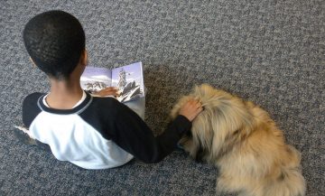 Why You Shouldn’t Shrug off Your Son’s Reading Habit this Summer