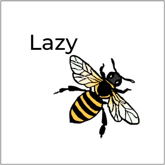 Picture riddles for kids what do you cal a lazy bee