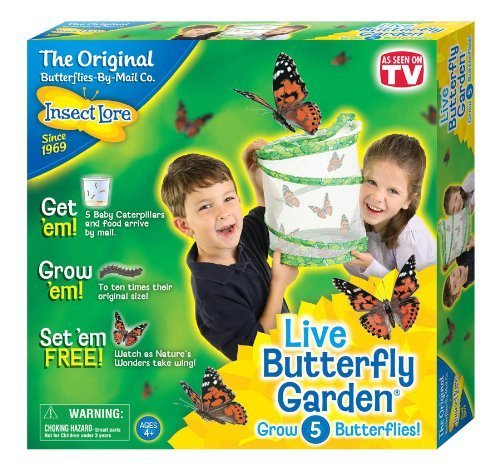 Insect Lore Live Butterfly Garden- educational toys