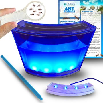 Ant-Habitat-with-LED-Light-from-Evviva-Sciences