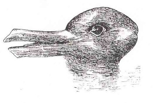 Image of Duck and Rabbit illusion