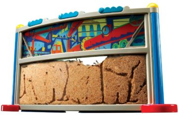 Educational-Insights-GeoSafari-Ant-Factory