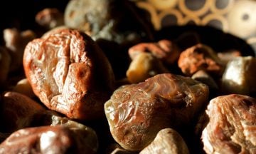 Explore Geology With These Best Rock Tumblers – Great For The Rock Tumbling Hobby