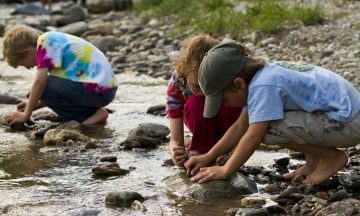 Get Young Minds Wired for Science