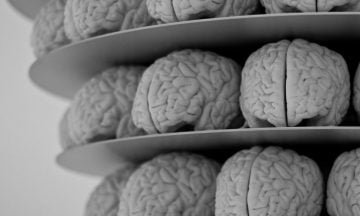 Shape Young Minds Through Sensory Environments—Learn How, It’s Easy!