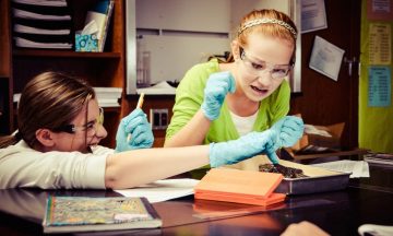 3 of the Best Free Online Frog Dissection Tools