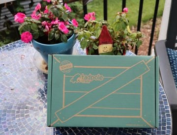 Panda Crate – The Best Toddler Subscription Box?