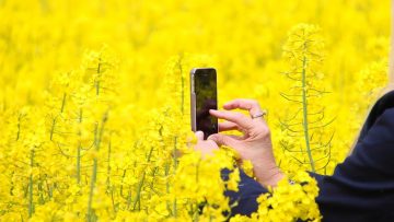 Teacher Play – 6 Apps to Explore This Summer