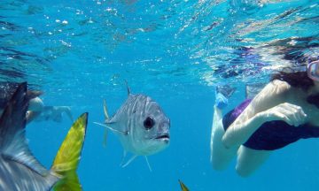 7 Underwater Cameras to Capture the Moment