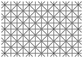 Image of 12 black dots illusion