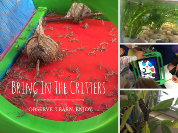 4 Great Reasons to Bring Nature Into Your Classroom