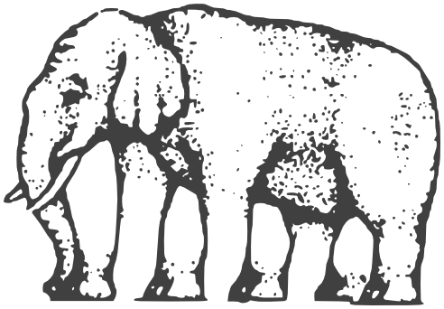 Image of Elephant Legs Illusion
