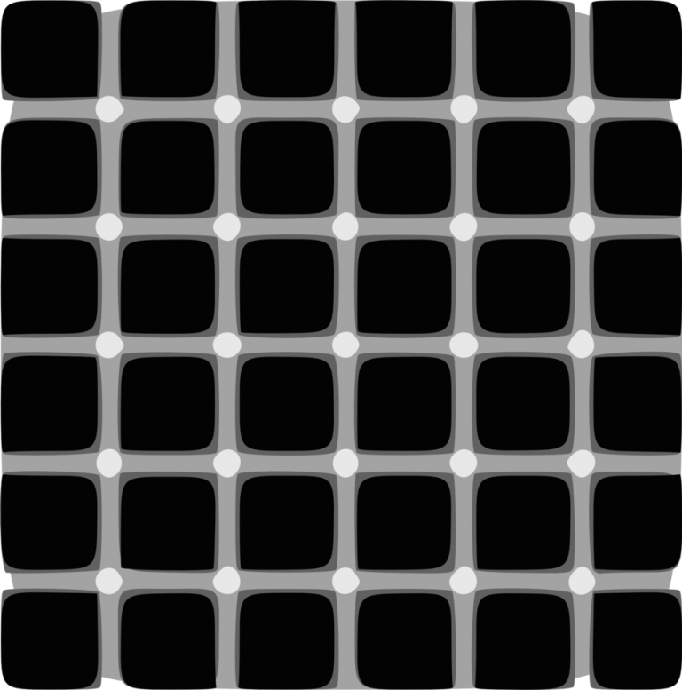 Image of Hermann Grid Optical Illusion