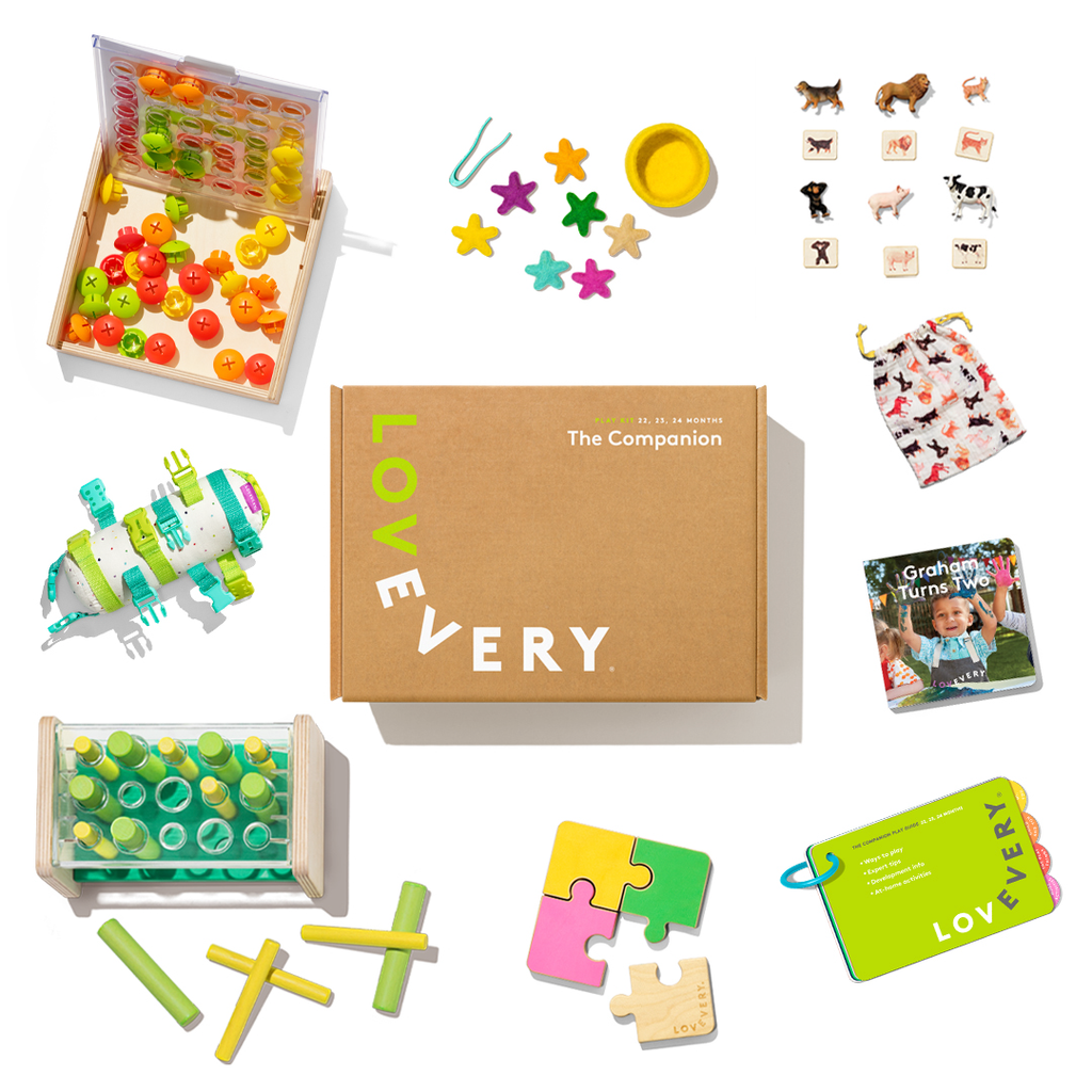 The Companion Play Kit
